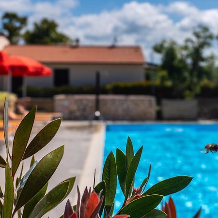 Agriturismo Il Tripesce Vada Exterior photo