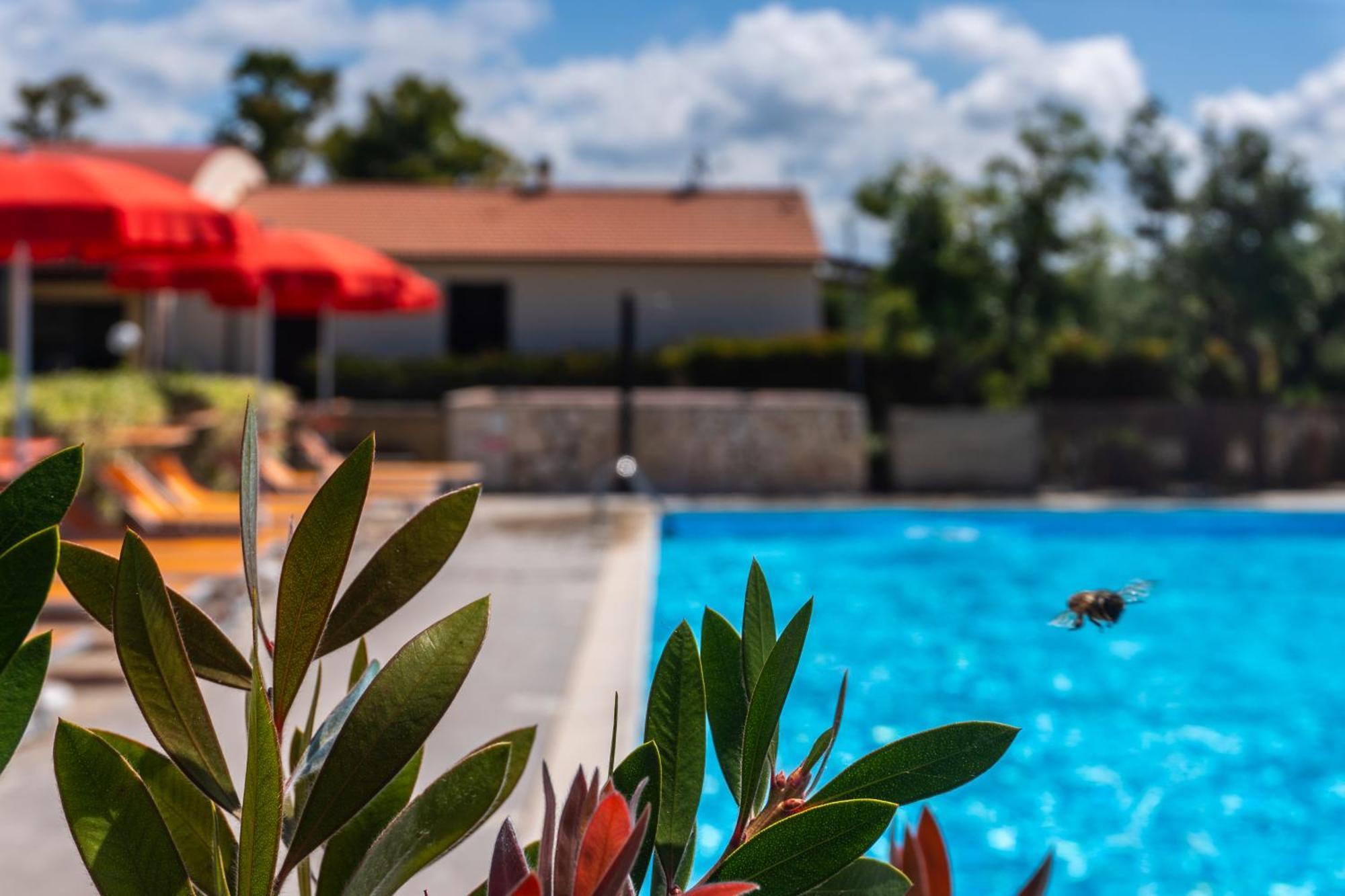 Agriturismo Il Tripesce Vada Exterior photo
