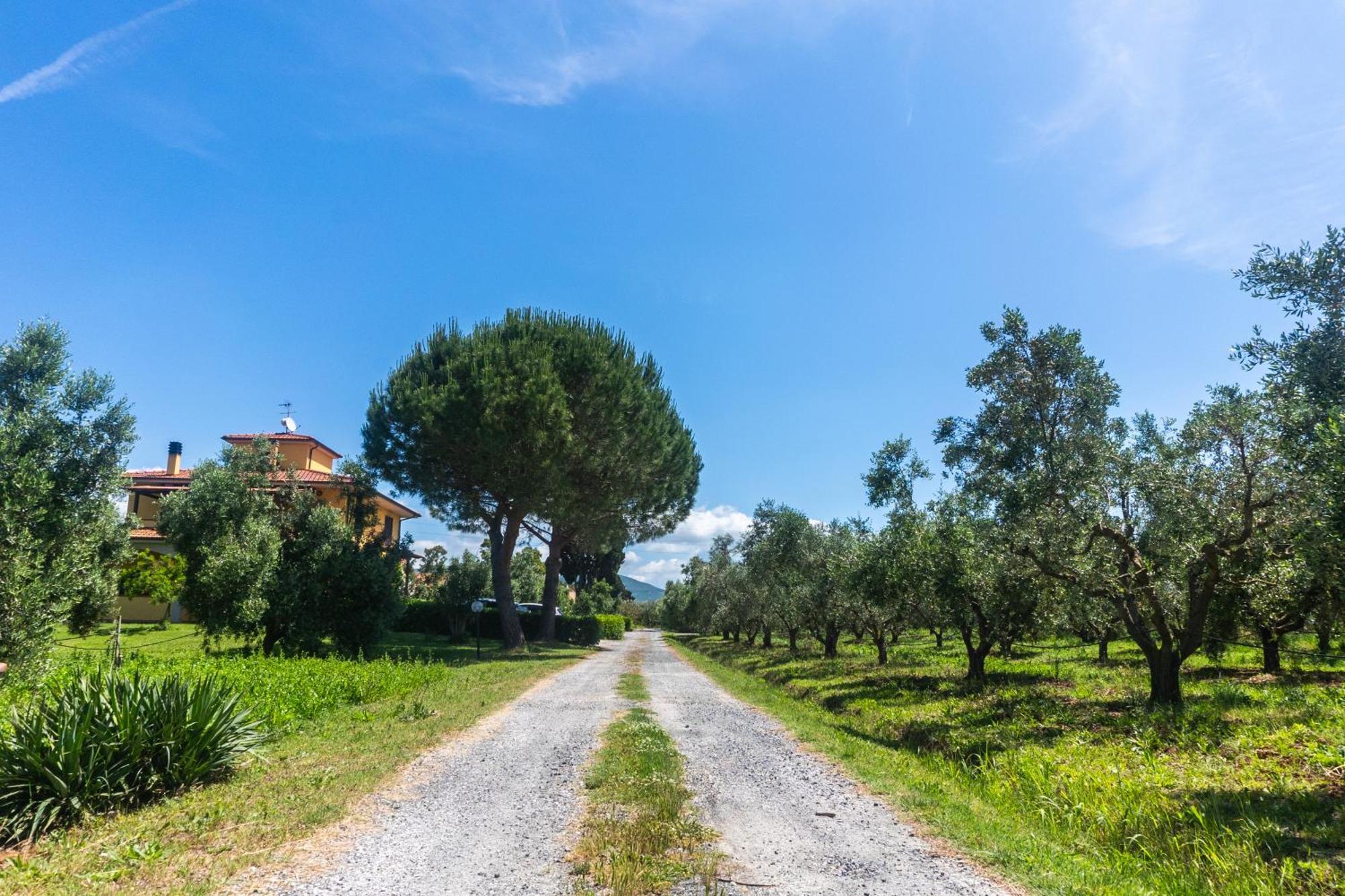 Agriturismo Il Tripesce Vada Exterior photo