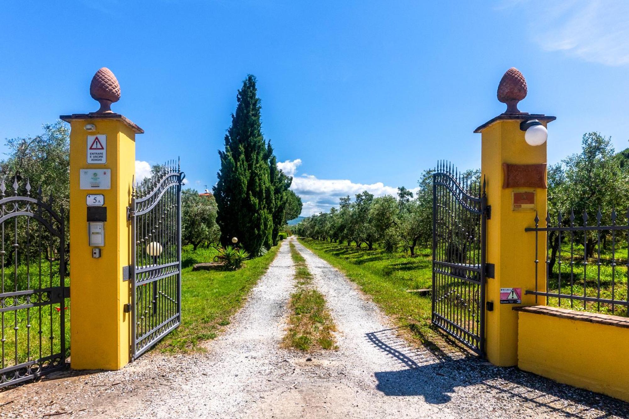 Agriturismo Il Tripesce Vada Exterior photo