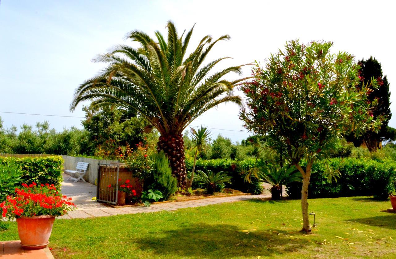 Agriturismo Il Tripesce Vada Exterior photo